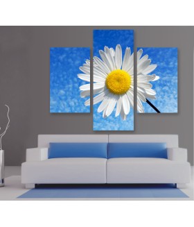Multi-canvas 3x Daisy